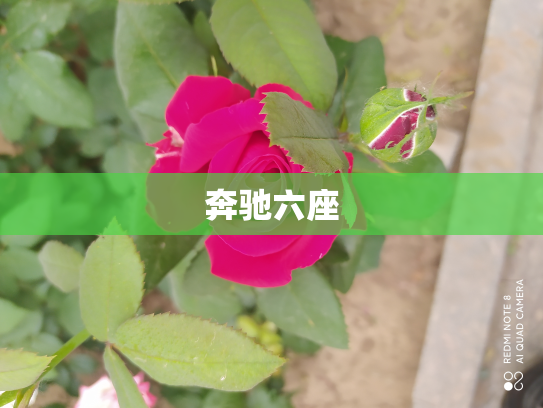 奔驰六座