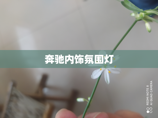 奔驰内饰氛围灯