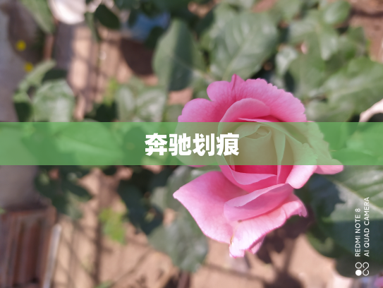 奔驰划痕