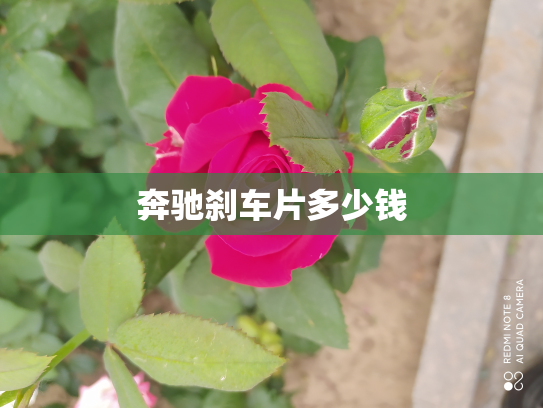 奔驰刹车片多少钱