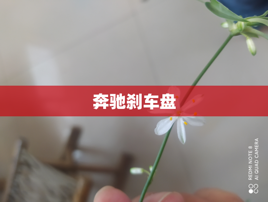 奔驰刹车盘