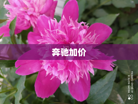 奔驰加价