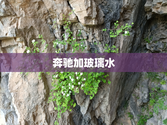 奔驰加玻璃水