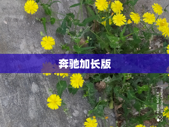 奔驰加长版