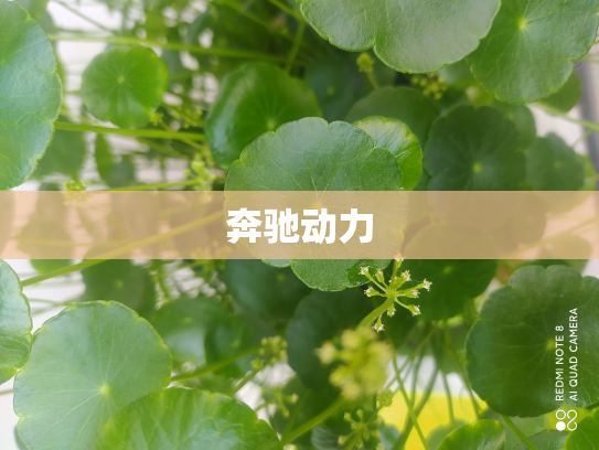奔驰动力