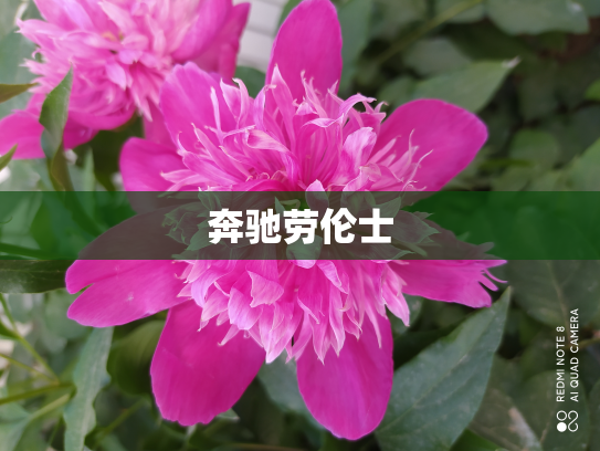 奔驰劳伦士