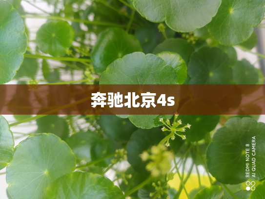 奔驰北京4s