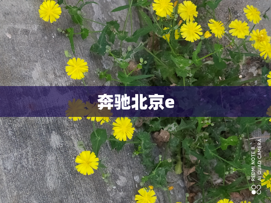 奔驰北京e