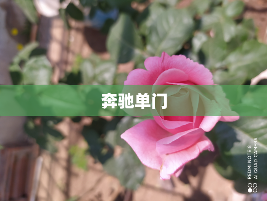奔驰单门