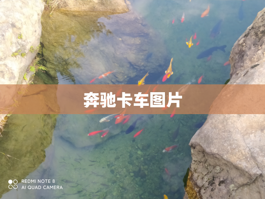 奔驰卡车图片