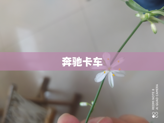 奔驰卡车