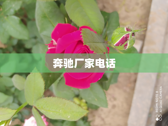 奔驰厂家电话