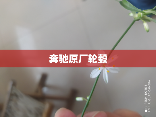 奔驰原厂轮毂