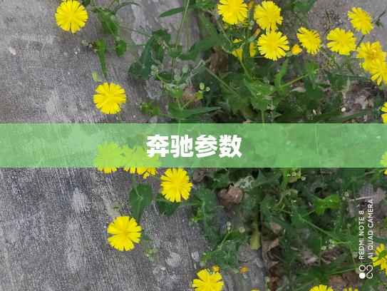 奔驰参数