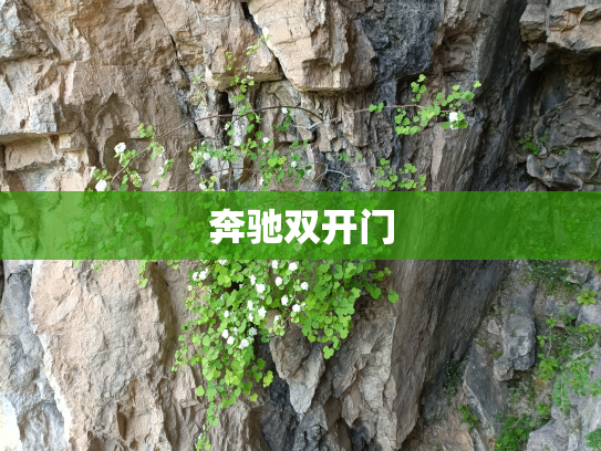 奔驰双开门