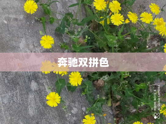 奔驰双拼色