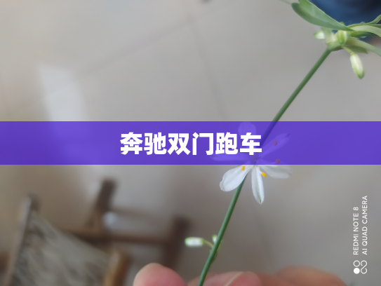 奔驰双门跑车