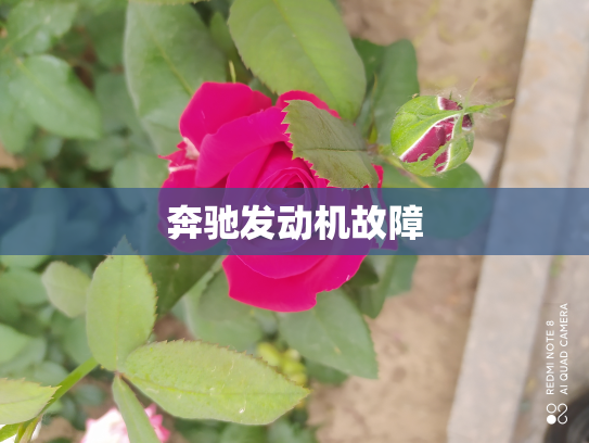 奔驰发动机故障