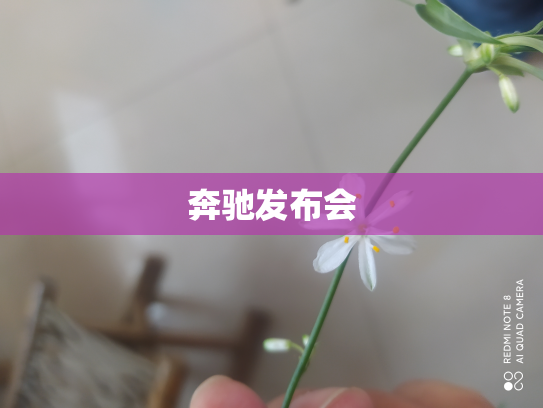 奔驰发布会