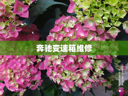 奔驰变速箱维修