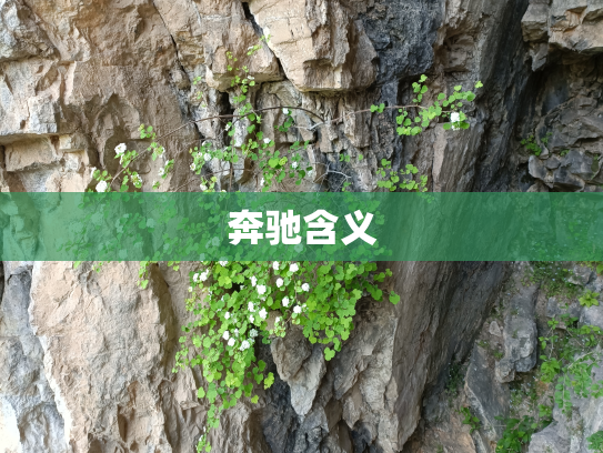 奔驰含义