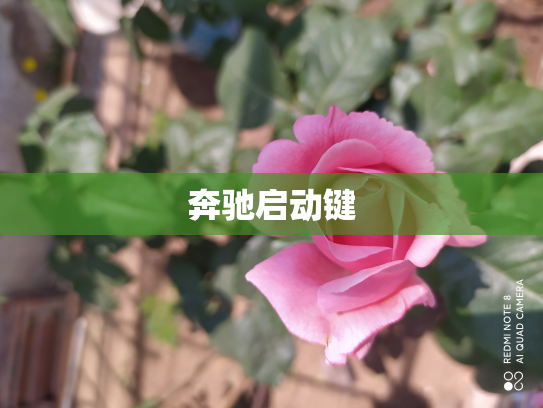 奔驰启动键