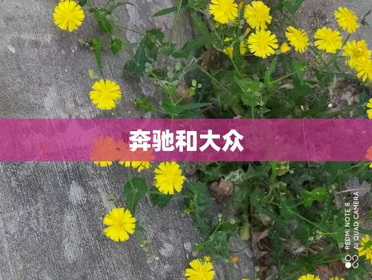 奔驰和大众