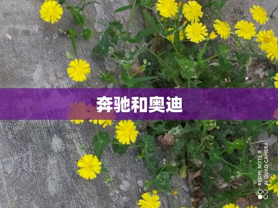 奔驰和奥迪