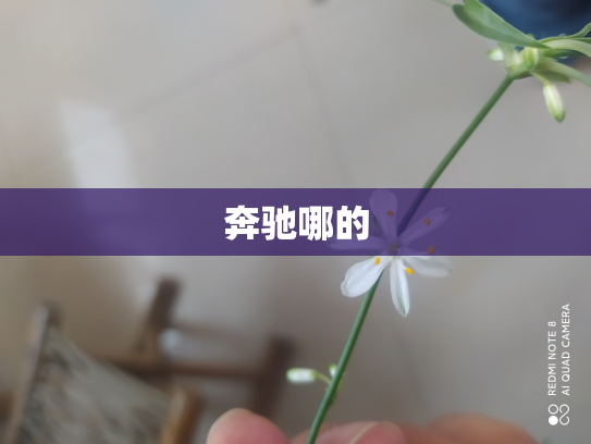 奔驰哪的