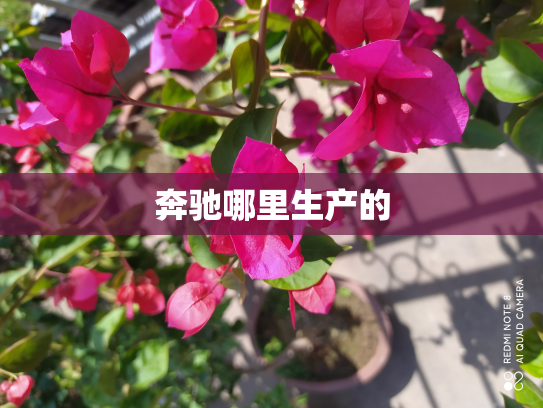 奔驰哪里生产的