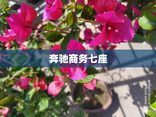 奔驰商务七座
