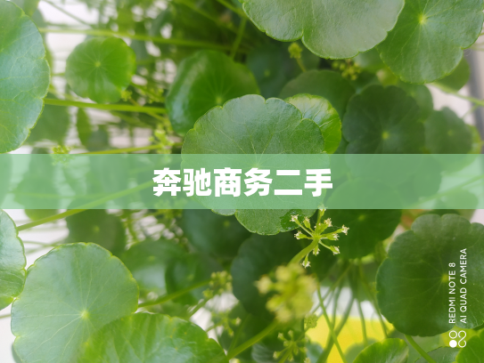 奔驰商务二手
