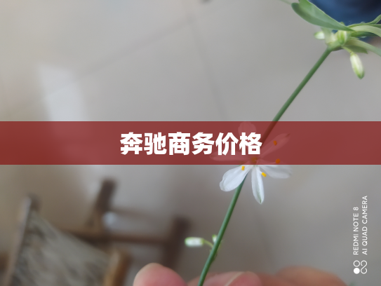奔驰商务价格