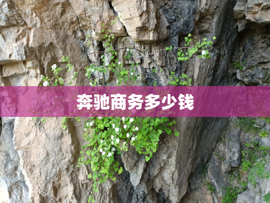 奔驰商务多少钱
