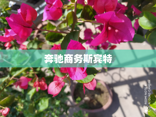 奔驰商务斯宾特
