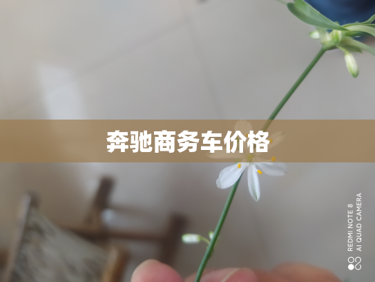 奔驰商务车价格