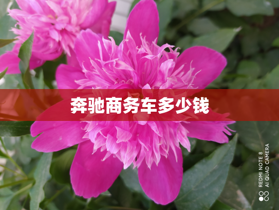奔驰商务车多少钱