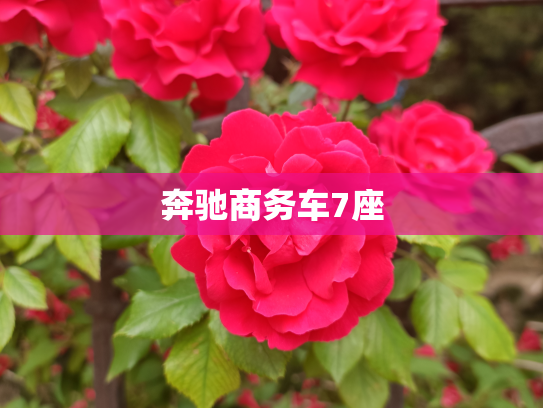 奔驰商务车7座