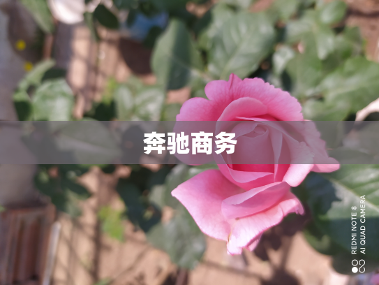 奔驰商务