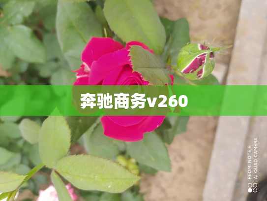 奔驰商务v260