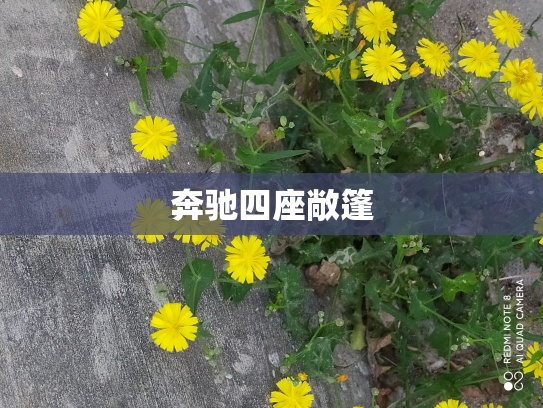奔驰四座敞篷