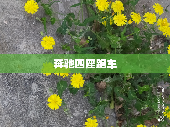 奔驰四座跑车