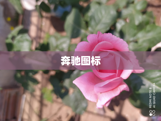 奔驰图标
