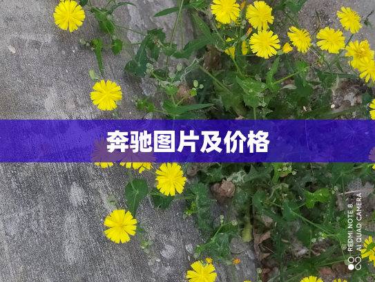 奔驰图片及价格