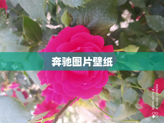 奔驰图片壁纸