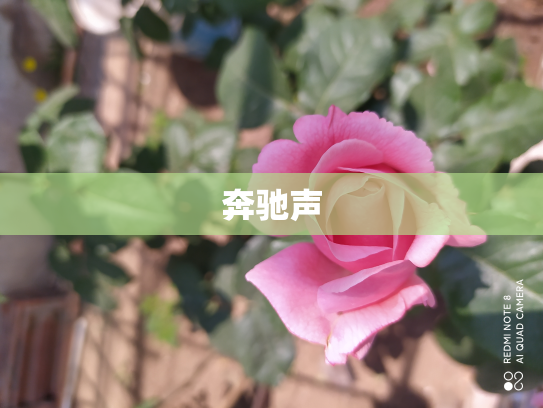 奔驰声