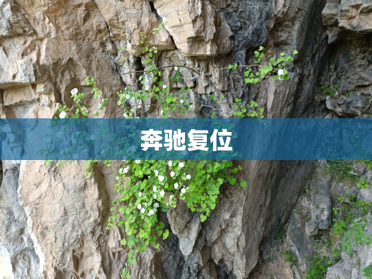 奔驰复位