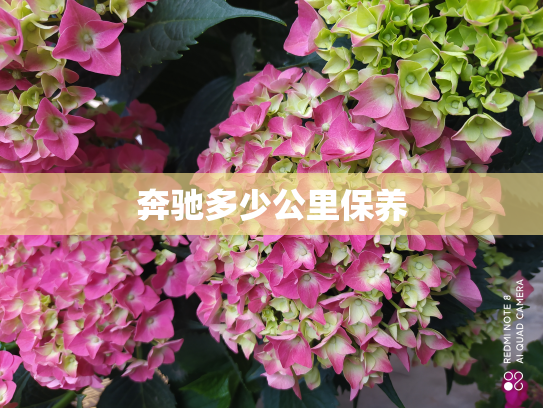 奔驰多少公里保养