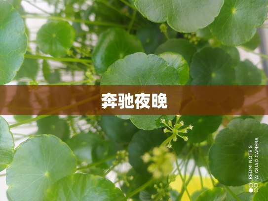 奔驰夜晚