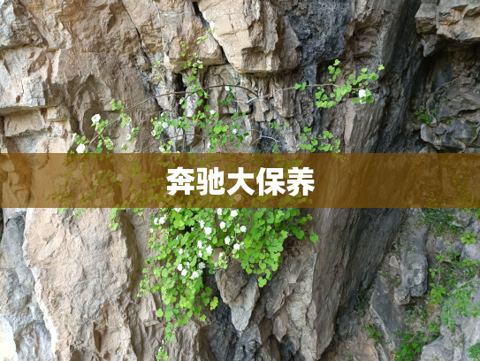 奔驰大保养